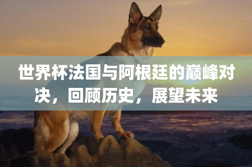 世界杯法国与阿根廷的巅峰对决，回顾历史，展望未来广西贺州市华昌新材料有限公司