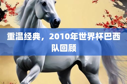 重温经典，2010年世界杯巴西队回顾