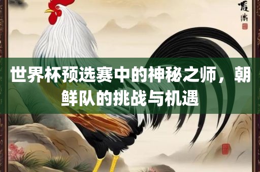 世界广西贺州市华昌新材料有限公司杯预选赛中的神秘之师，朝鲜队的挑战与机遇
