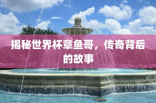 揭秘世界杯章鱼哥，传奇背后的故事