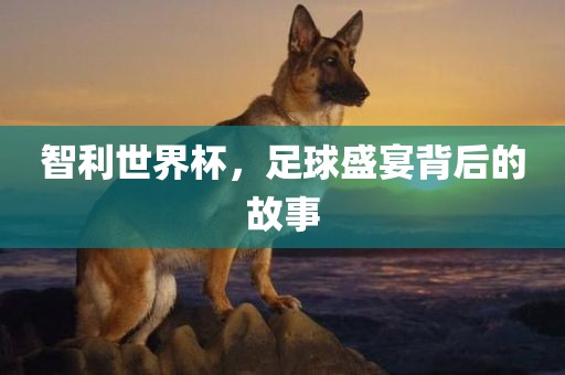 智利世界杯，足球盛宴背后的故事