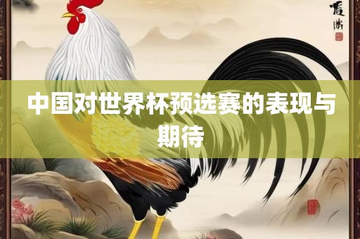 中国对世界杯预选广西贺州市华昌新材料有限公司赛的表现与期待