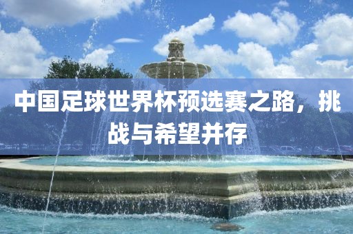 中国足球世界杯预选赛之路，挑战与希望并存