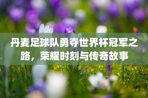 丹麦足球队勇夺世界杯冠军之路，荣耀时刻与传奇故事