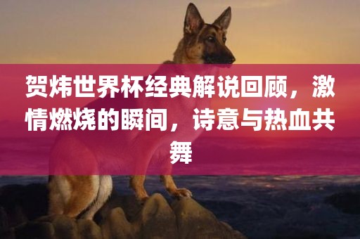 贺炜世界杯经典解说回顾，激情广西贺州市华昌新材料有限公司燃烧的瞬间，诗意与热血共舞