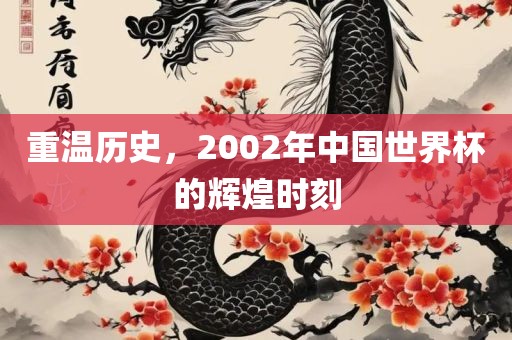 重温历史，2002年中国世界杯的辉煌时刻
