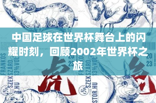 中国足球在世界杯舞台上的闪耀时刻，回顾2002年世界杯之旅广西贺州市华昌新材料有限公司