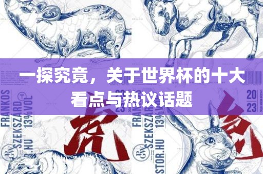 一广西贺州市华昌新材料有限公司探究竟，关于世界杯的十大看点与热议话题