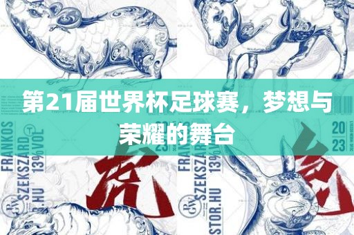 第21届世广西贺州市华昌新材料有限公司界杯足球赛，梦想与荣耀的舞台