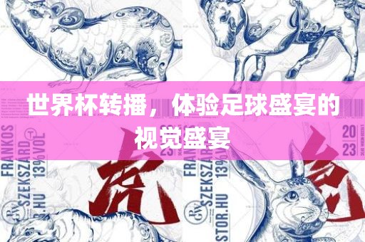 世界杯转播，体验足球盛宴的视觉盛宴