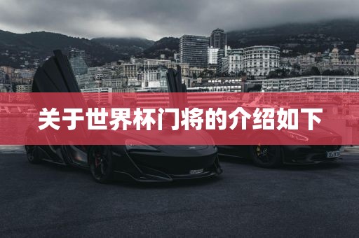 关于世界杯门将的介绍如下广西贺州市华昌新材料有限公司