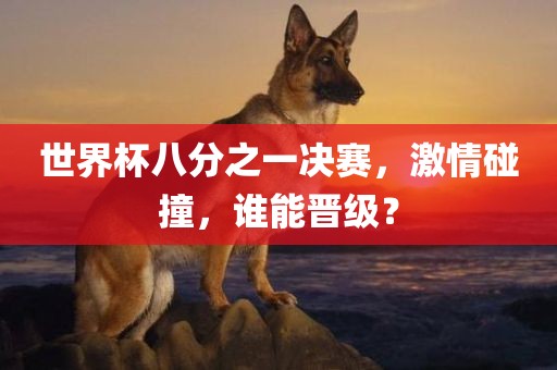 世界杯八分之一决赛，激情碰撞，谁能晋级？