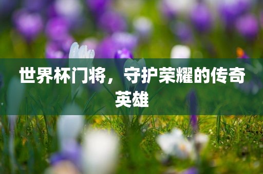 世界杯门将，守护荣耀的传奇英雄