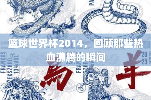 篮球世界杯2014，回顾那些热血沸腾的广西贺州市华昌新材料有限公司瞬间