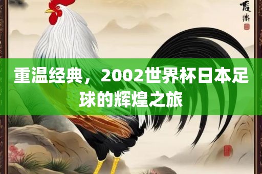 重温经典，2002世界杯日本足球的辉煌之旅广西贺州市华昌新材料有限公司