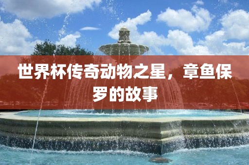 世界杯传奇动物之星，章鱼保罗的故事广西贺州市华昌新材料有限公司