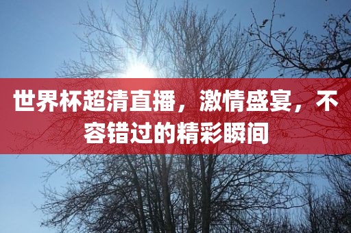 世界杯超清直播，激情盛宴，不容错过的精彩瞬间广西贺州市华昌新材料有限公司
