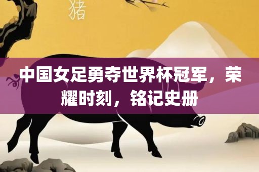 中国女足勇夺世界杯冠军，荣耀时刻，铭记史册广西贺州市华昌新材料有限公司