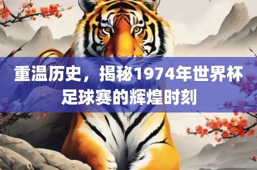 重温历史，揭秘1974年世界杯足球赛的辉煌时刻
