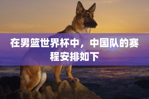 在男篮世界杯中，中国队的赛程安排如下广西贺州市华昌新材料有限公司
