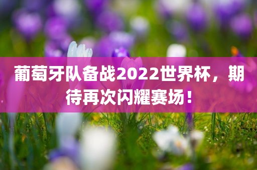 葡萄牙队备战2022世界杯，期待再次闪耀赛场！广西贺州市华昌新材料有限公司