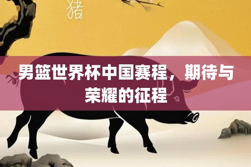 男篮世界杯中国赛程，期待与荣耀的征程广西贺州市华昌新材料有限公司