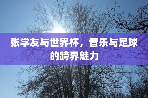 张学友与世界杯，音乐与足球的跨界魅力广西贺州市华昌新材料有限公司
