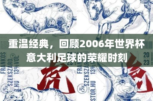 重温经典，回顾2006年世界杯意大利足球的荣耀时刻广西贺州市华昌新材料有限公司