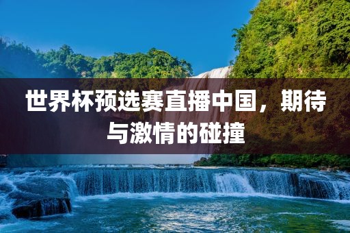 世界杯预选赛直播中国，期待与激情的碰撞
