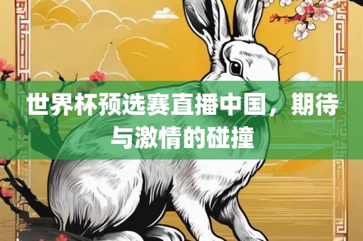 世界杯预选赛直播中国，期待与激情的碰撞
