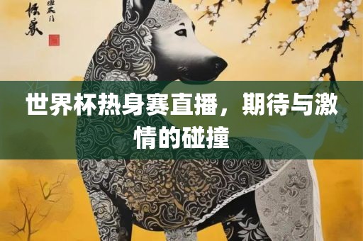世界杯热身赛直播，期待与激情的碰撞