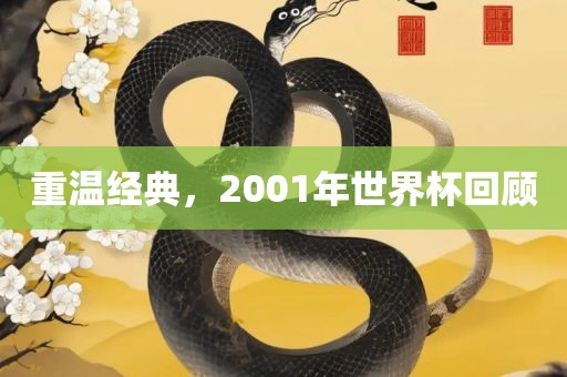重温经典，2001年世界杯回顾