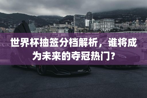 世界杯抽签分档解析，谁将成为未来的夺冠热门？广西贺州市华昌新材料有限公司