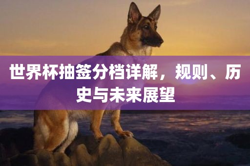 世界杯抽签分档详解，规则、历史与未来展望广西贺州市华昌新材料有限公司