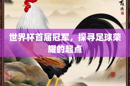 世界杯首届冠军，探寻足球荣耀的起点广西贺州市华昌新材料有限公司