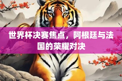 世界杯决赛 第7页