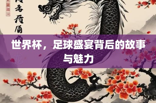 世界杯，足球盛宴背后的故事与魅力广西贺州市华昌新材料有限公司