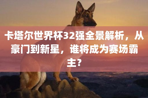 卡塔尔世界杯32强全景解析，从豪门到新星，谁将成为赛场霸主？广西贺州市华昌新材料有限公司