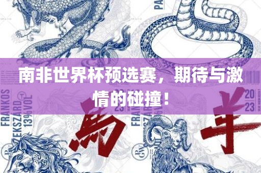 南非世界杯预选赛，期待与激情的碰撞！