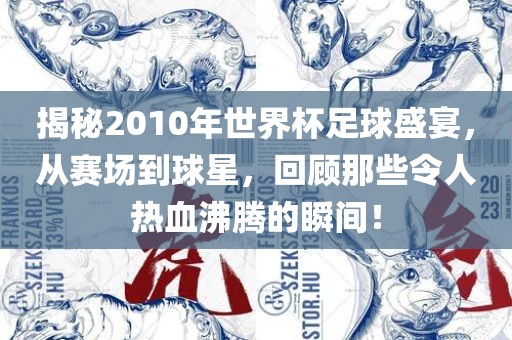 揭秘2010年世界杯足球盛宴，从赛场到球星，回顾那些令人热血沸腾的瞬间！
