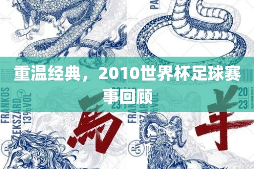重温经典，2010世界杯足球赛事回顾