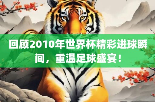 回顾2010年世界杯精彩进球瞬间，重温足球盛宴！