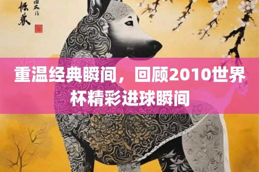 重温经典瞬间，回顾2010世界杯精彩进球瞬间