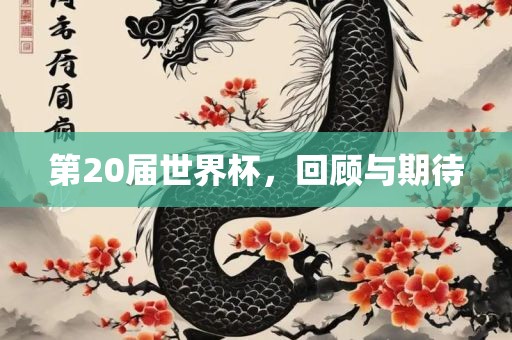 第20届世界杯，回顾与期待广西贺州市华昌新材料有限公司
