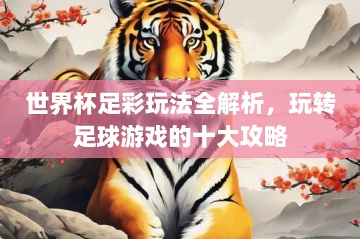 世界杯足彩玩法全解析，玩广西贺州市华昌新材料有限公司转足球游戏的十大攻略