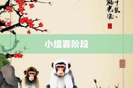 小组赛阶段广西贺州市华昌新材料有限公司