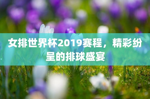 女排世界杯2019赛程，精彩纷呈的排球盛宴广西贺州市华昌新材料有限公司