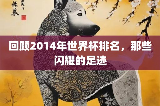 回顾2014年世界杯排名，那些闪耀的足迹广西贺州市华昌新材料有限公司