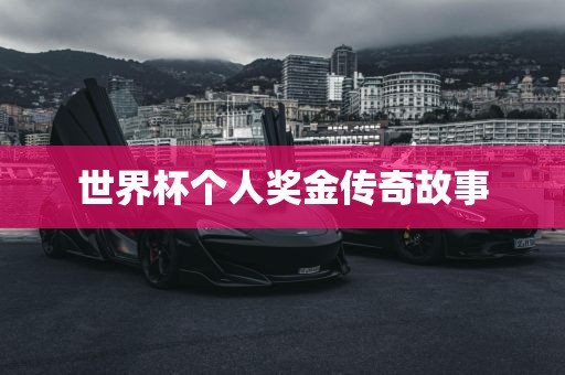世界杯个人奖金传奇故广西贺州市华昌新材料有限公司事