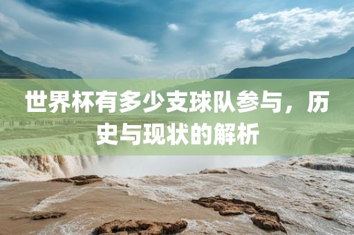 世界杯有多少支球队参与，历史与现状的解析